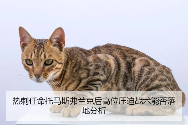热刺任命托马斯弗兰克后高位压迫战术能否落地分析