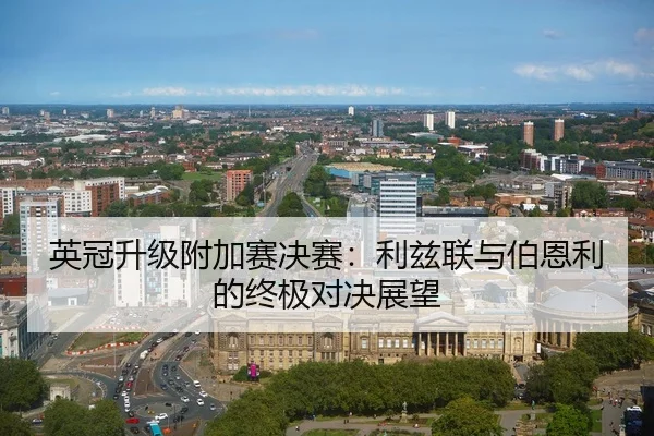 英冠升级附加赛决赛：利兹联与伯恩利的终极对决展望